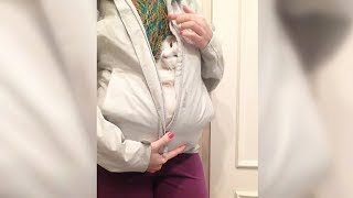 Kitty Inside Mamas Sweater