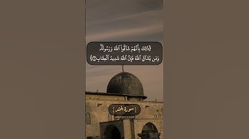 سورة الحشر الآية ٣ الى ٥ بصوت الشيخ محمد صديق المنشاوي