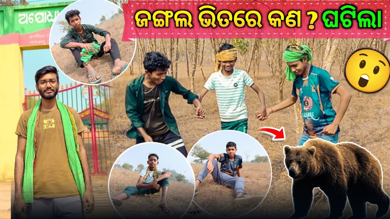 ଜଙ୍ଗଲ ଭିତରେ କଣ ବାହାରିଲା? | Odia vlogs | daily vlogs | village Life 