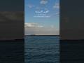 العين السخنة شتاء ٢٠٢٦ 