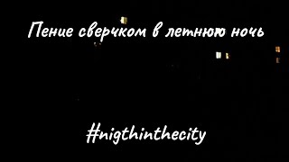 Расслабляюсь глядя в темноту под пение сверчков. #nightincity #crickets