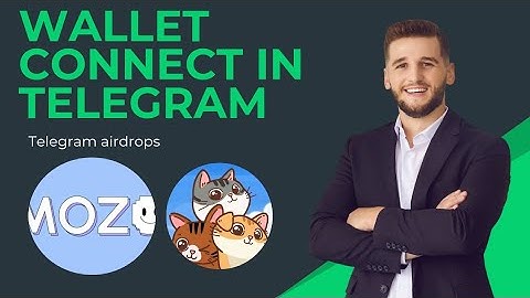 mozo Ai and catizen wallet connecting process
