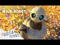 The Wild Robot Meet Roz Compilation Movie Moments Mega Moments 