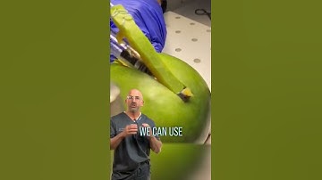 ACL Repair with Hamstring Tendon #shorts