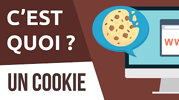 Quelles sont les deux caractéristiques d'un cookie ?