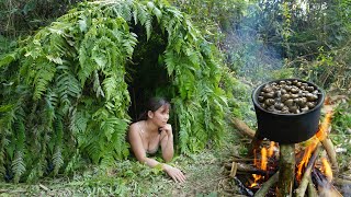 Building Simple Survival Shelter In The Forest, Cooking Snails Delicious - Solo Bushcraft