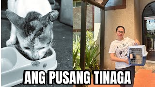 Dinala namin sa vet si Labo | Ang pusang tinaga | momarenyann