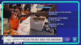 Here are some Halloween events happening in the Bay area this weekend