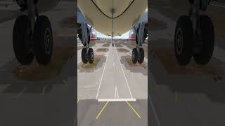 Hardest Plane Landing While Landing Gear Were Stuck