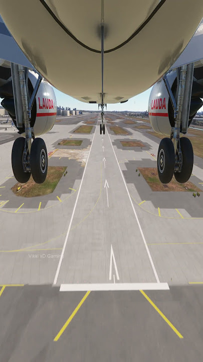 Hardest Plane Landing while Landing gear were stuck #aviation #landinggear