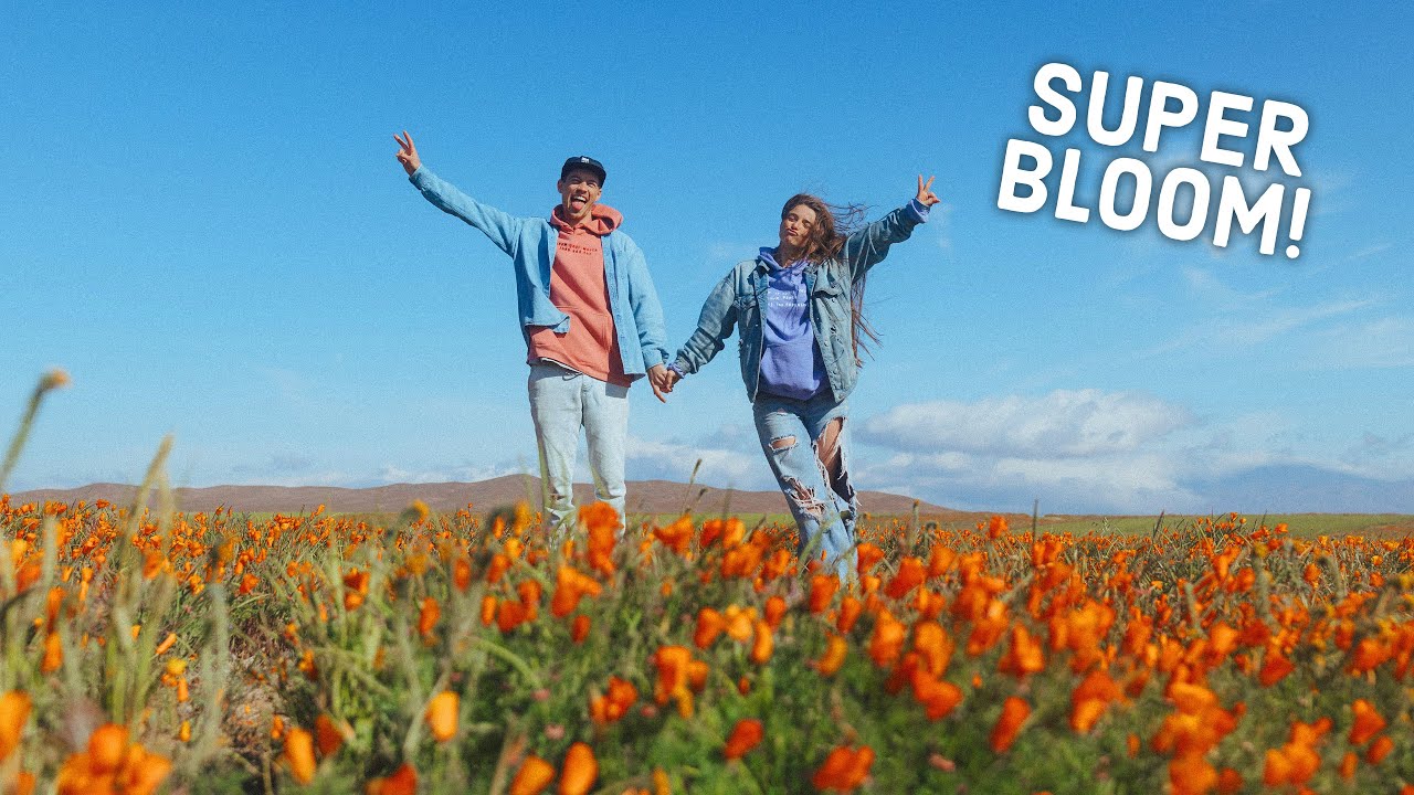 We found a hidden flower field in California!