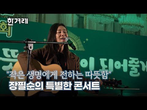 마라도에서 반출된 고양이들의 입양·임보 프로젝트 위한 특별한 콘서트