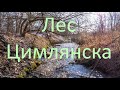 Зимний лес Цимлянска 23.02.2023г.