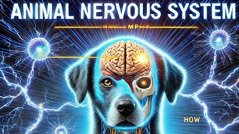 Nervous System in Animals: Structure, Function & Importance Explained #viralvideo