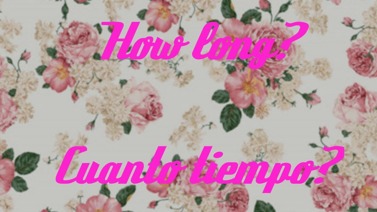 How Long Will I Love You Lyrics (Letra en Español & English) Ellie