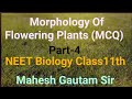 Plant Morphology अब बहुत Easy | MCQ For NEET Biology Class11th | By Mahesh Gautam Sir 😊
