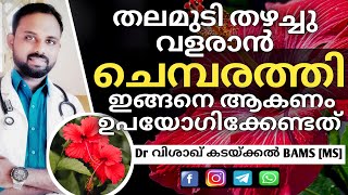 How to use Chembarathi for hair growth | തലമുടി തഴച്ചു വളരാൻ ചെമ്പരത്തി ഉപയോഗിക്കേണ്ടത് ഇങ്ങനെ