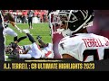 Atlanta falcons aj terrell ultimate highlights 2023