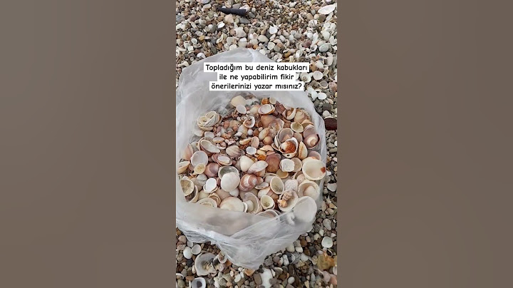 siz olsanız bu deniz kabuklarından neler yapardınızı?