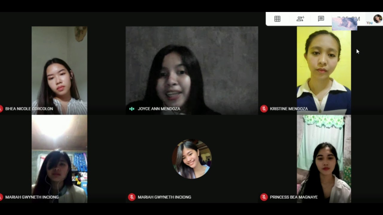 WebCam Job Interview