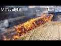 【地域のお仕事】野焼き。を行いました。
