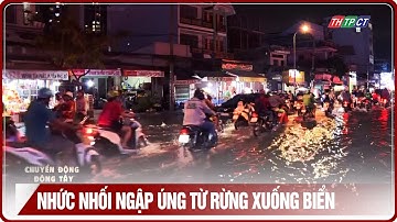 Nhức nhối ngập úng từ rừng xuống biển | THTPCT