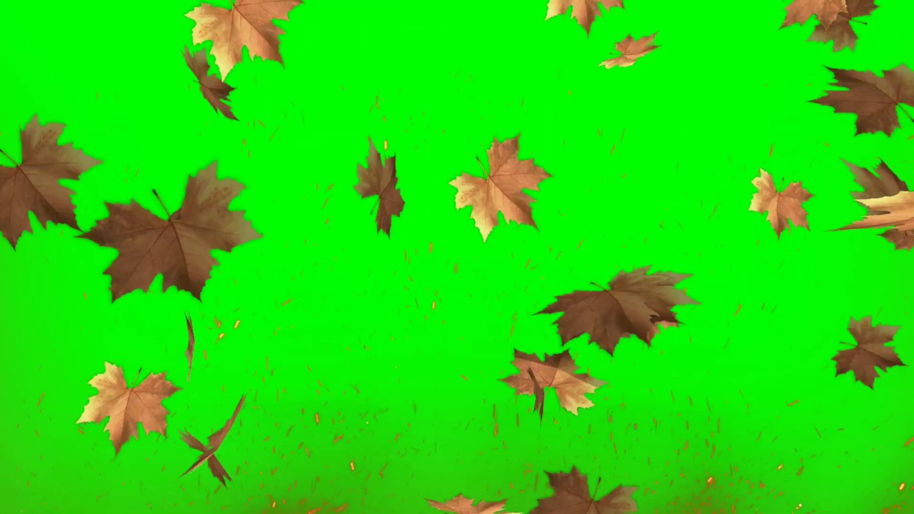 Green screen leaf।। kinemaster background best 🤘 adit YouTube