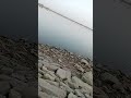 बांध में विसर्जन