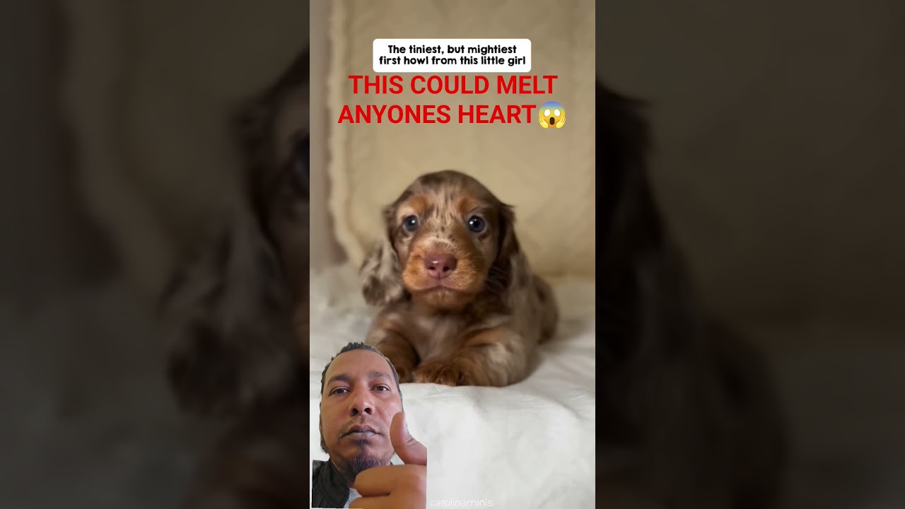 Это способно растопить любое сердце 😱 