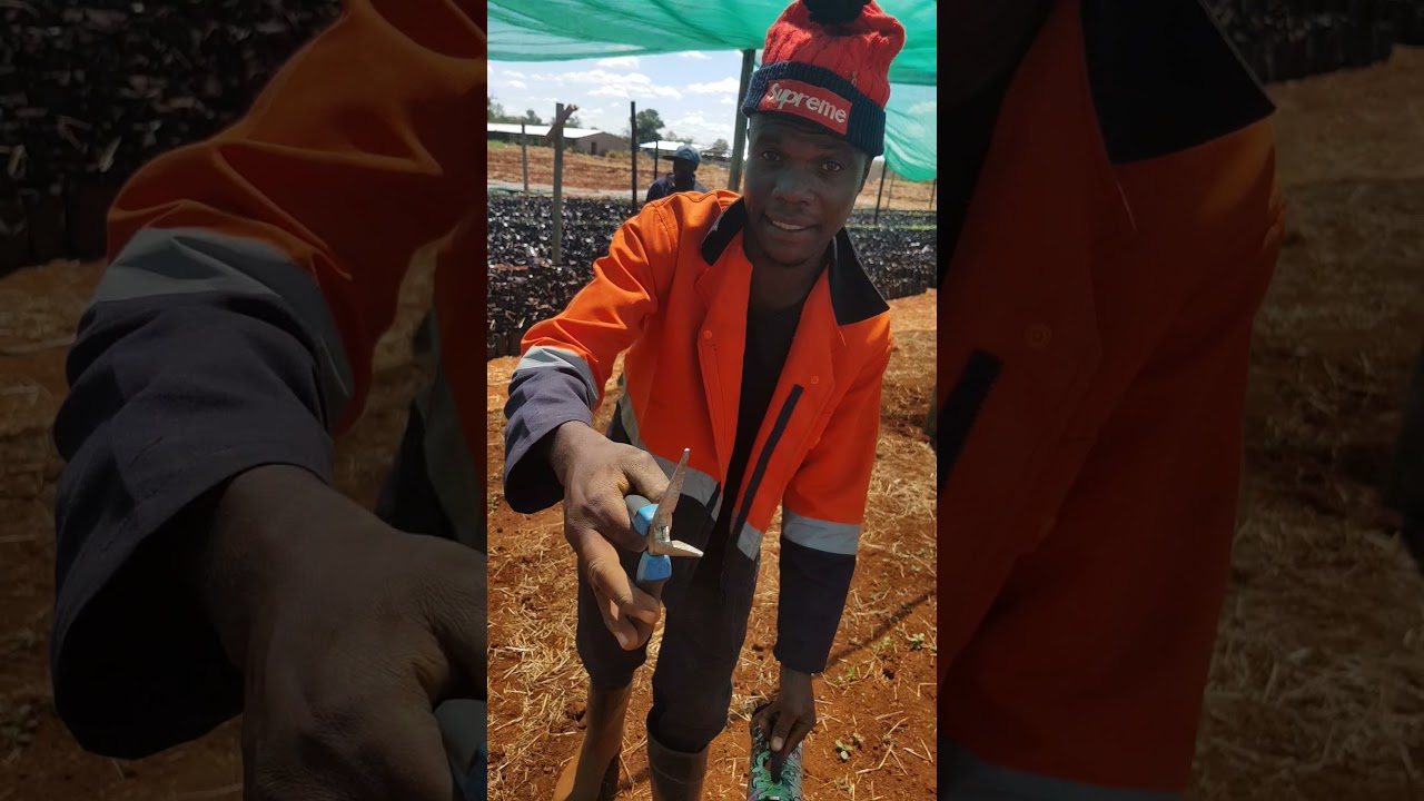 MBIDA DEE Freestlye at work (pabasa)