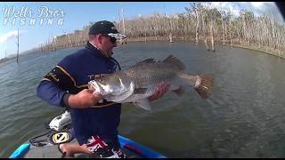 Zerek Fish Trap - Peter Faust Dam