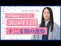 【今年ラスト！！】十二支別の12月の運勢✨love me do占い切り抜き動画×かぎしっぽ