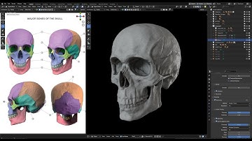 Studying Blender 3D: Anatomy #8