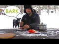 One Day in The Winter Forest making Tasty BBQ