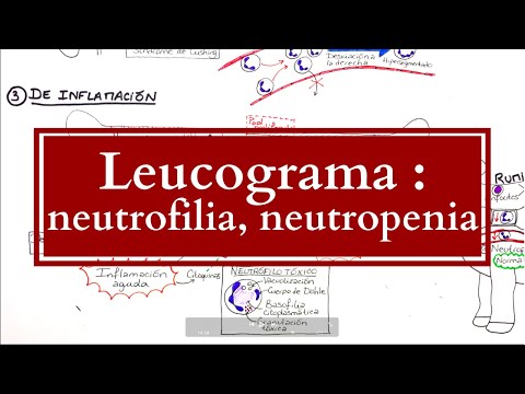 Leucograma : Alteraciones Neutrofílicas (neutrofilias, neutropenias)
