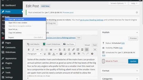 How to Schedule Wordpress Blog Post For Future Date?