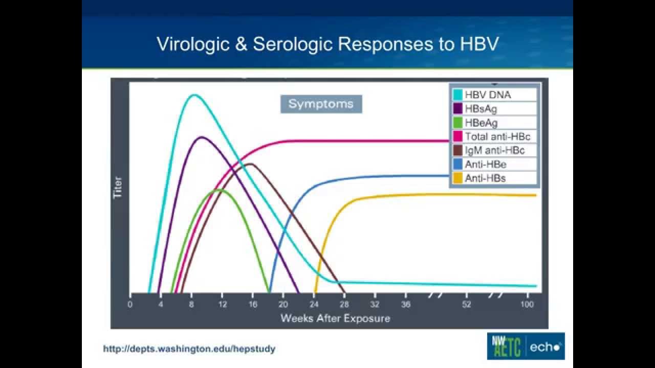 Isolated Hepatitis B Core Antibody - YouTube