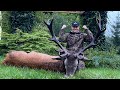 Hjortejagt i Polen - Redstag Hunting in Poland - Hirschjagd in Polen! 4K