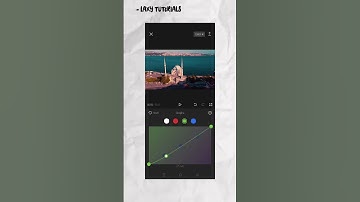 Color Grading Like WES ANDERSON in Capcut - Tutorial #shorts