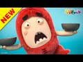 Oddbods | NOUVEAU | LE DÉFI DES ODDBODS | Dessins Animés Amusants pour les Enfants HD