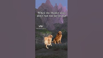 When the Healer asks don`t run too far in PvP