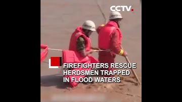 Firefighters rescue herdsmen trapped in flood waters | CCTV English