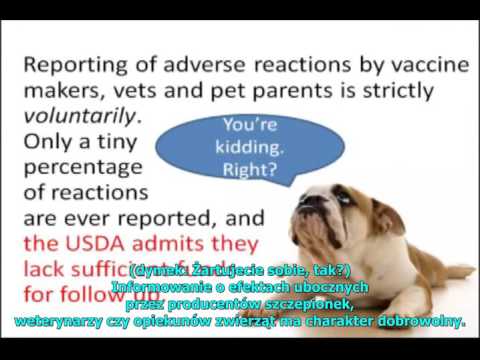 Wideo: Objawy parwowirusa u psów