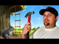I Built a Squirrel Hotel