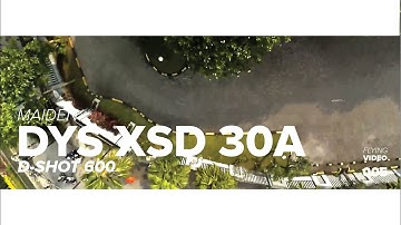 MAIDEN DYS XSD 30A | Dshot 600