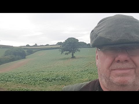 CUADRILLA ... a 'WORLD CLASS' BANKRUPTCY?