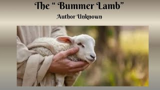 Short Story Of The Bummer Lambs ( Not Mine - Author Unknown )