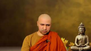 Boundless Goodwill | Guided Meditation Inspired by the Metta Sutta