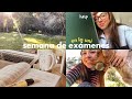 mi semana de exámenes finales | vlog