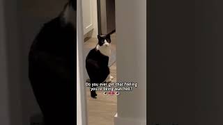 When You Catch Your Staring At You